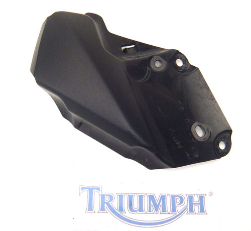 Triumph street triple 675 - street,