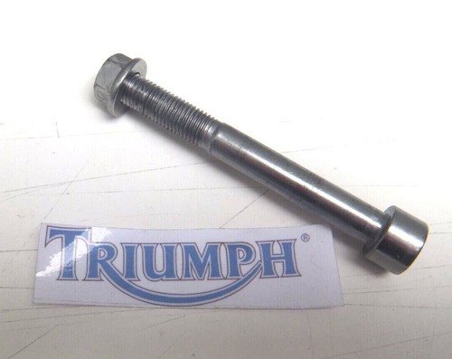 Triumph street triple 675 - 675, r